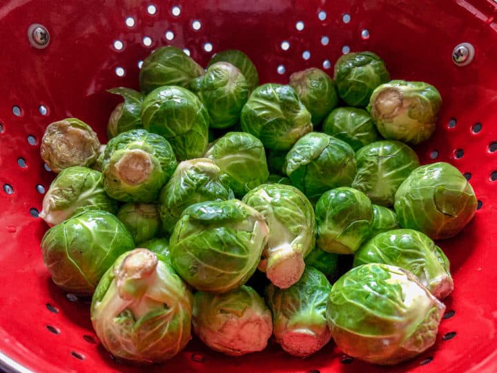 Brussel sprouts in red colander 